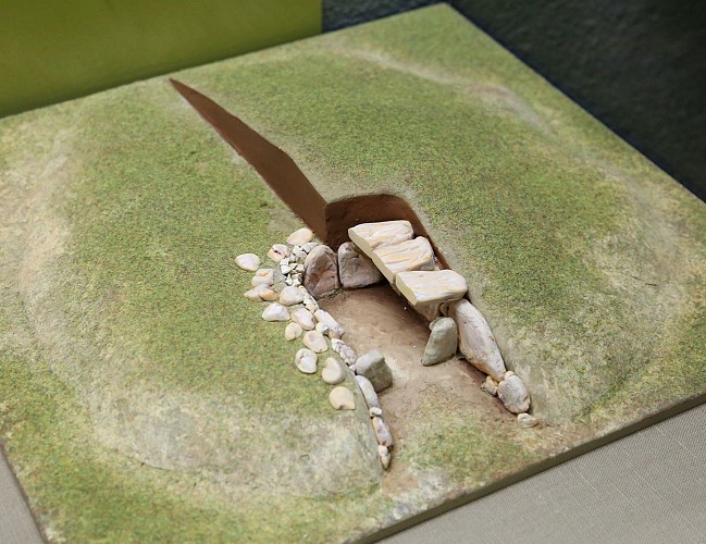 Coupe_Allée_couverte_Barbehère