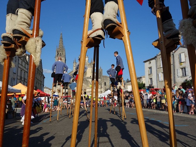 Place de la cathédrale - Bazas - ph. Elodie F (2)