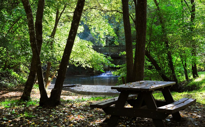Moulin Bidon et bords de Jalle - Martignas (2)