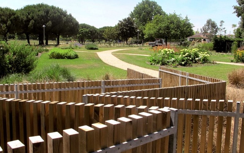 Saint-Médard-en-Jalles - Bords de Jalles de Gajac (2)