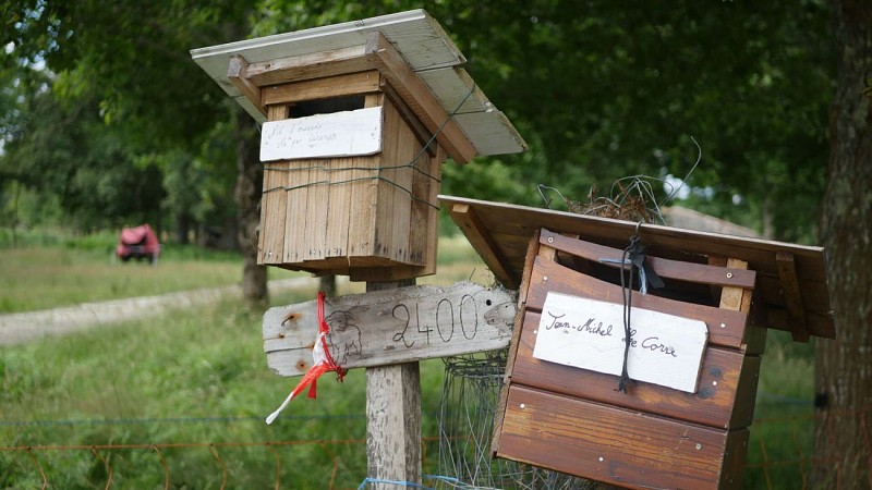 Bergerie-des-Matruques-SARA-SOULIGNAC