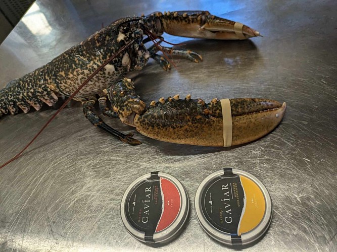 Auberge de la treille 2