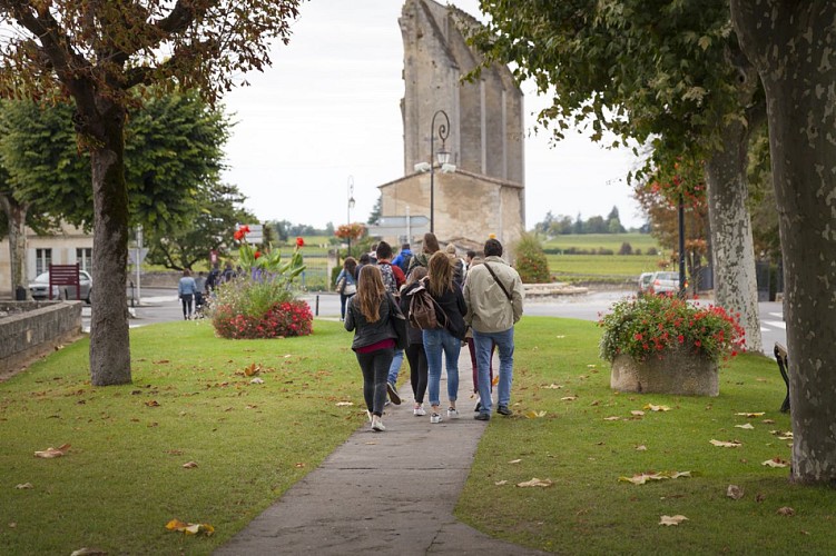 © Guillaume Le Baube (33)