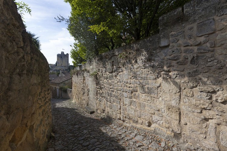 © Guillaume Le Baube (12)