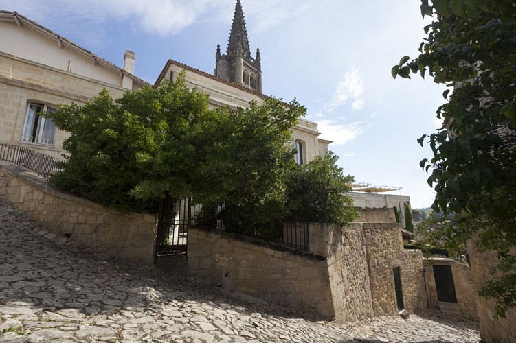 © Guillaume Le Baube (11)