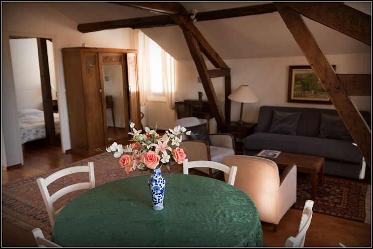 gibanu appartus6 (1 sur 1)