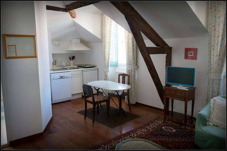 gibanu appartus7 (1 sur 1)