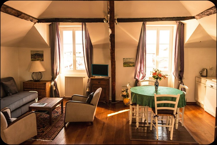 gibanu appartus1 (1 sur 1)