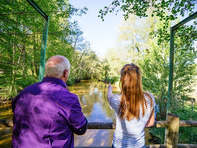 Bernos-Beaulac - gemmage (1)