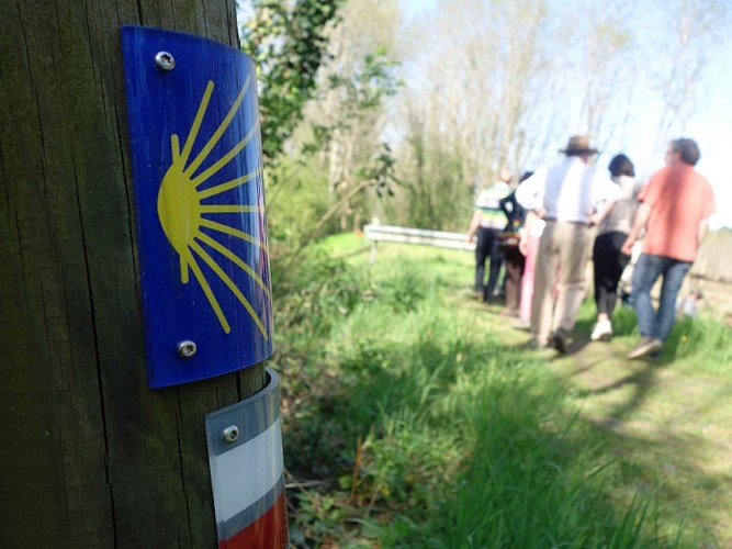 Bernos-Beaulac - sentier d'interprétation du Ciron (2)