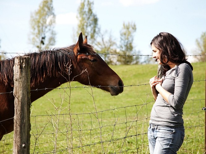 Bazadais - équitation