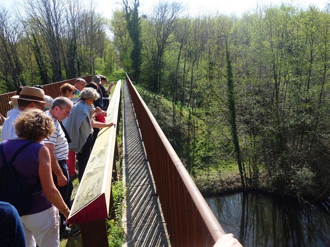 Bernos-Beaulac - sentier d'interprétation du Ciron  (1)