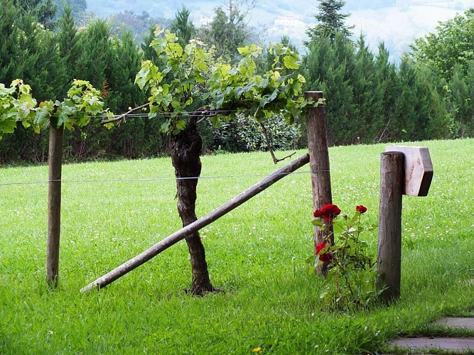 Rigoux_ramiro_exterieur