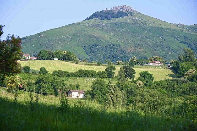 Reynolds - Vue montagne