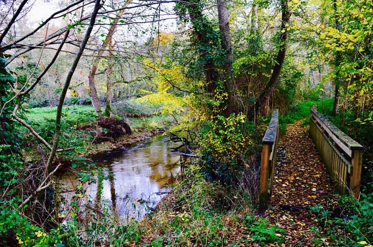 Village_Villandraut_Ciron_Mairie_7_800