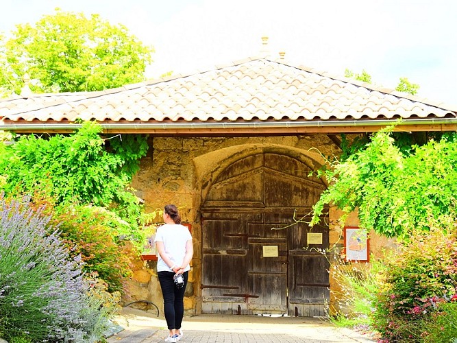 Sendets - ph. Elodie F (24)