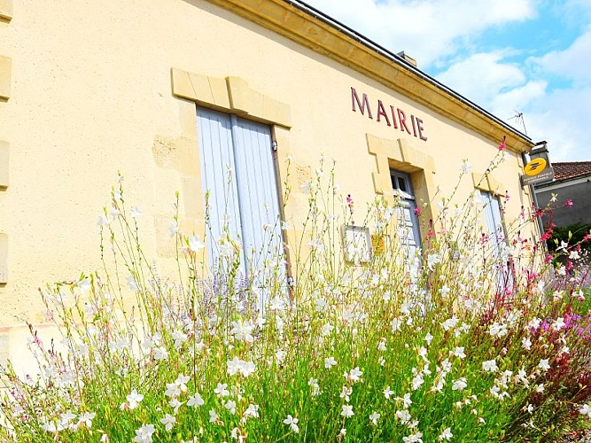 Sendets - ph. Elodie F (6)