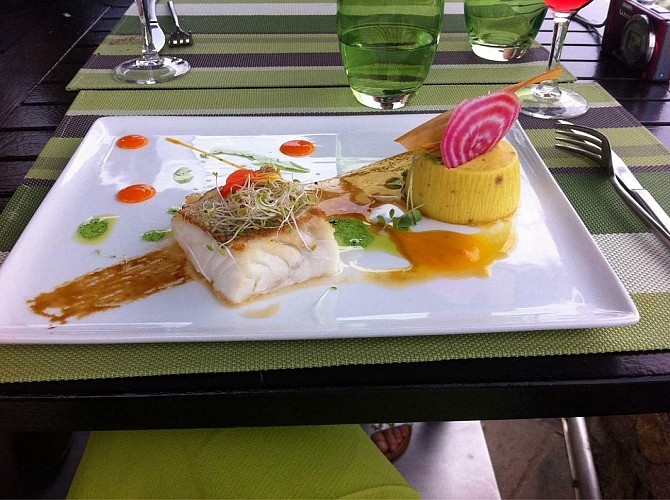 Terrasson-mandragore1