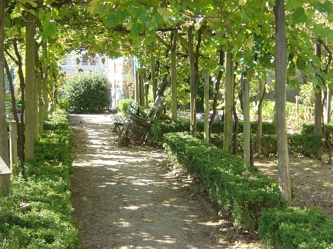 Jardin de Payot - vignes ACM