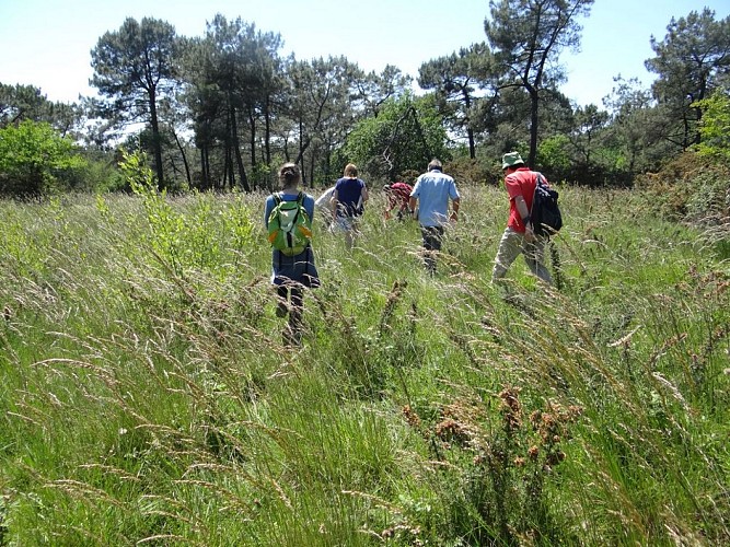 TS-Public-au-jardin-CPIE