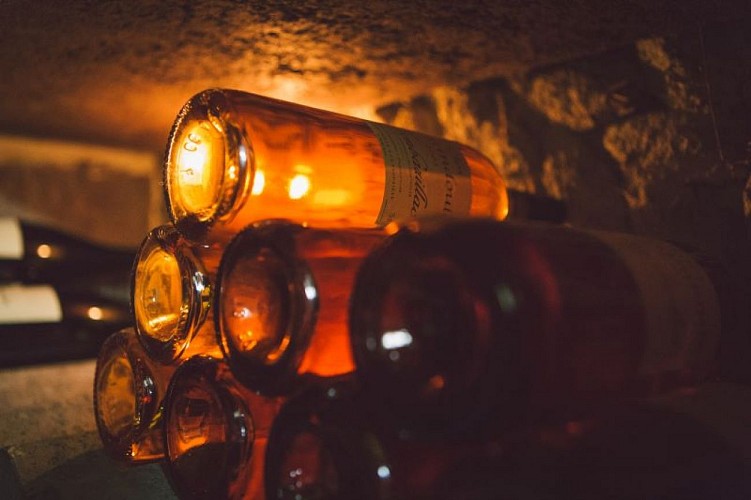 A7F4A485-2475-491D-81CB-E396EDE9440E