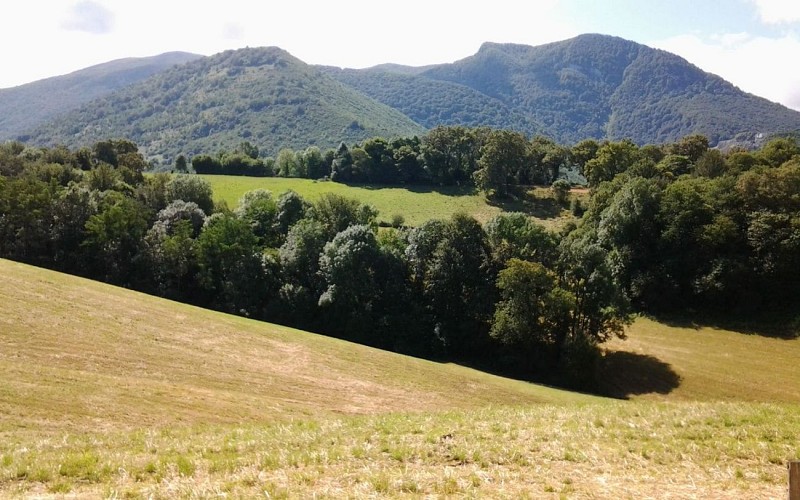 Gite-Denise-Latapie-Denise-Latapie - 5-