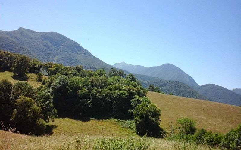 Gite-Denise-Latapie-Denise-Latapie - 1-