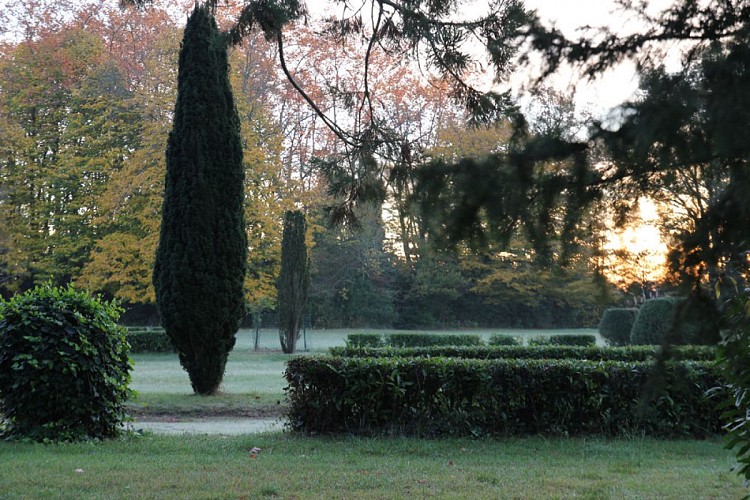 Chateau-de-Ravignan-jardin-brume_3
