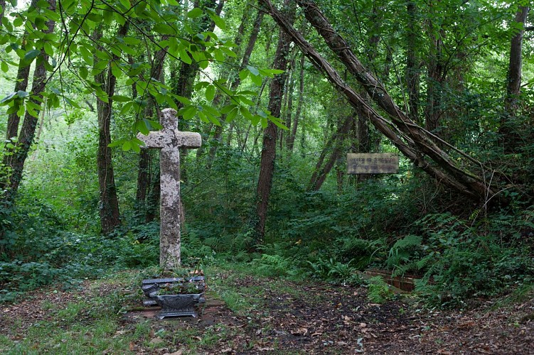 Saint Foy - Fontaine Source sainte quitterie (2)