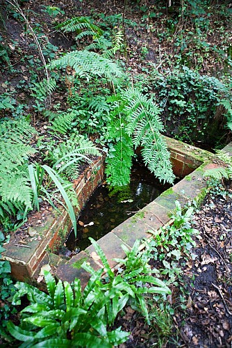 Saint Foy - Fontaine Source sainte quitterie (3)