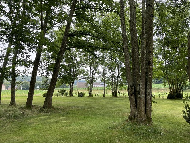 Gite chez Trilhé - Arbres