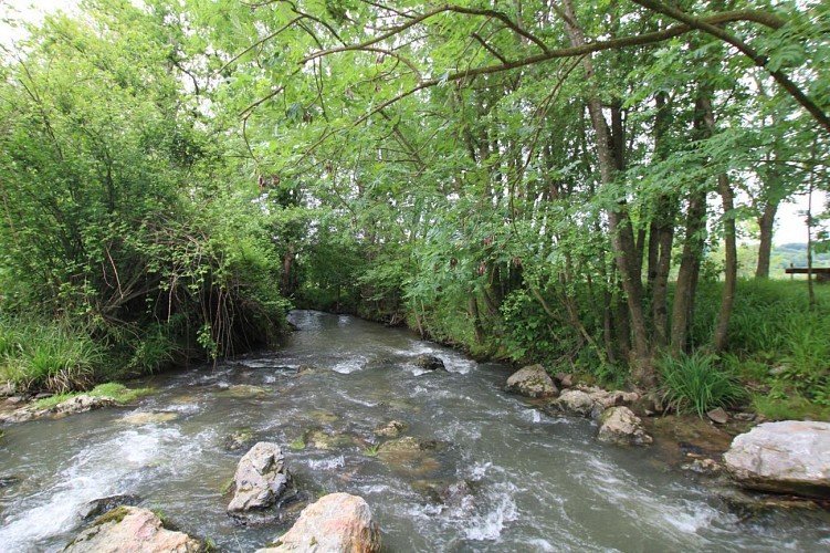 Gite chez Trilhé - Nature