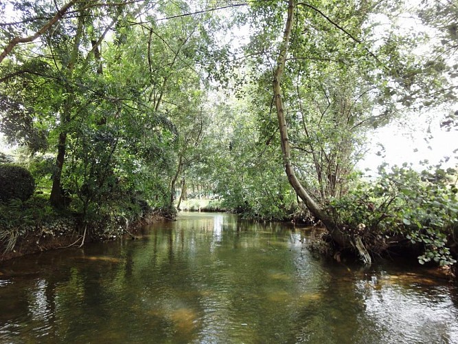 Gite chez Trilhé - Ruisseau