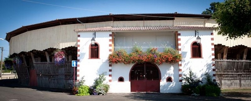 Roquefort - Arènes (4)