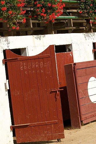 Arènes de Larbey - Porte