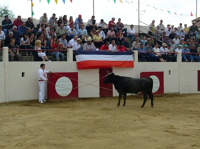 Les Arènes Jean Durrieu