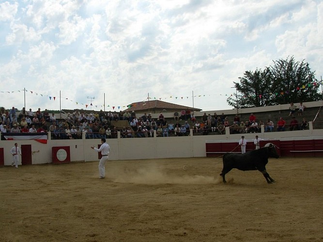 Les Arènes Jean Durrieu