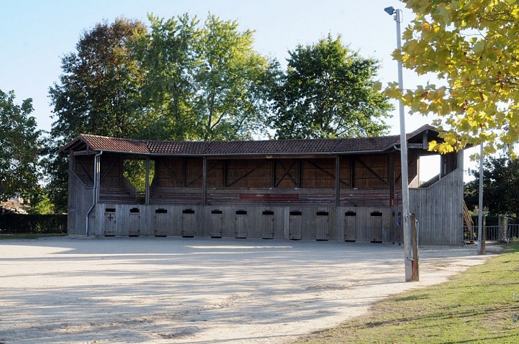 Arènes d'Aurice