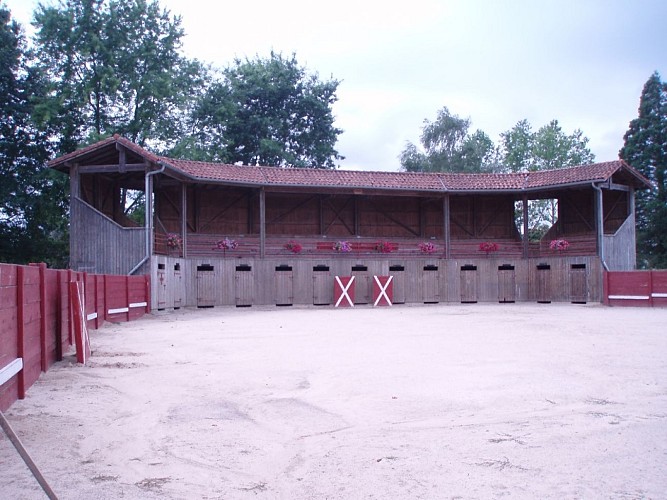 Arènes d'Aurice