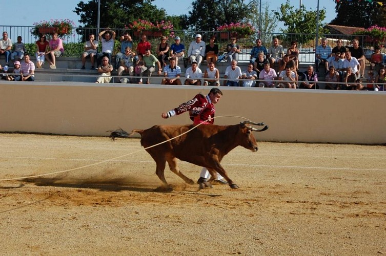 Arènes