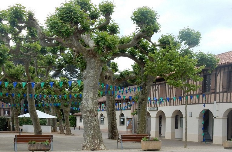 Le fronton et la Place du village Moliets