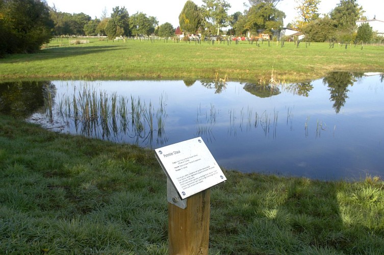 Arborétum du domaine de Moré