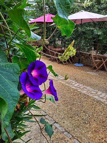 Restaurant Nosco (2)