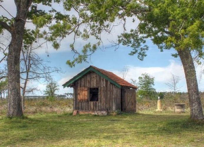 La Forêt d'Art Contemporain : La Sauveté de Garbachet, oeuvre n°07