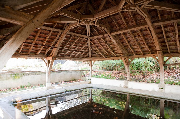 Labastide d'Armagnac - Lavoir (8)