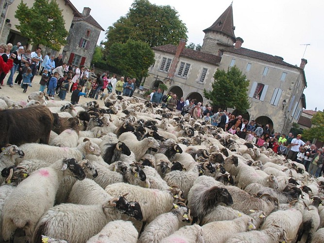 Saint Justin - Transhumance  - ©JMT