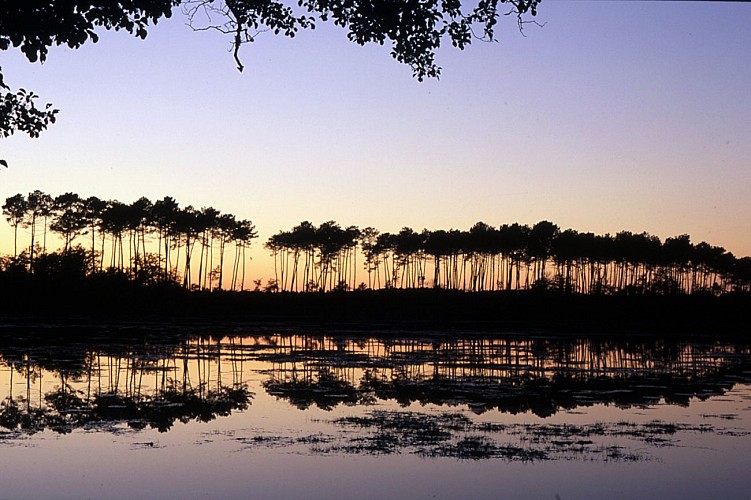 Etang Abesse nuit