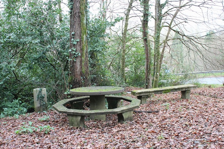 le Lavoir (9)