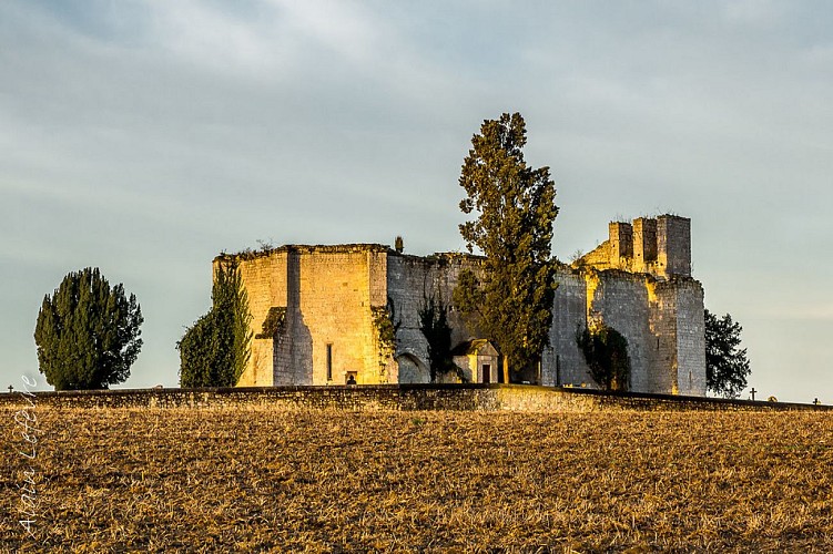 St Pierre Cazaux-