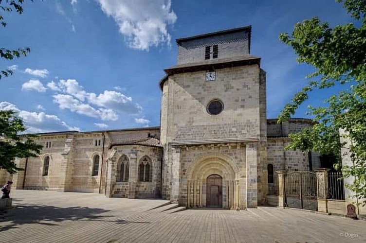 Collégiale St Vincent - extérieur1